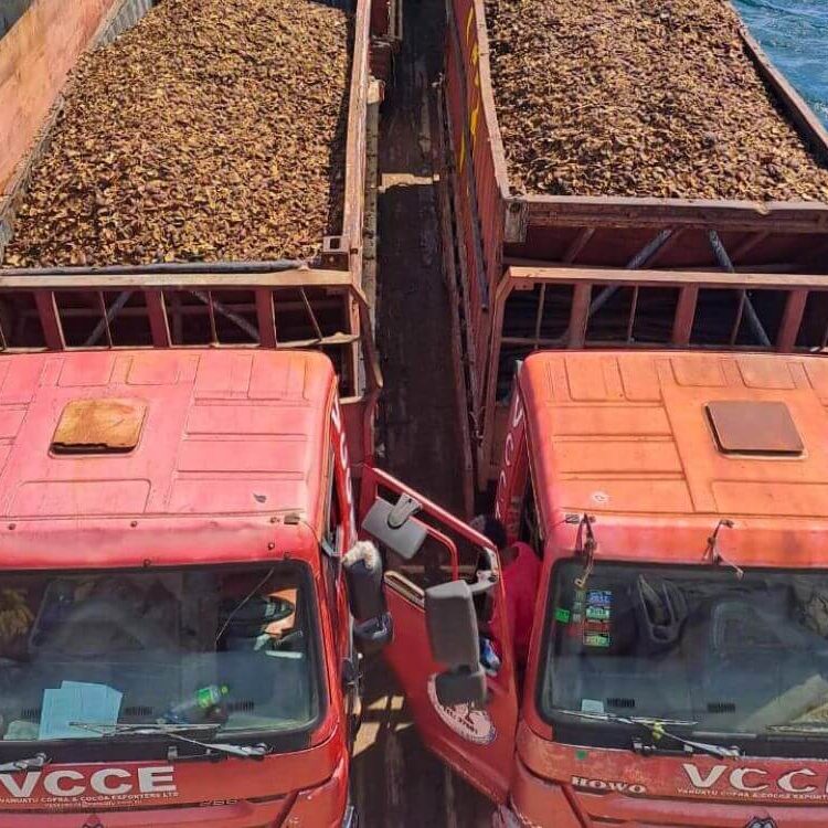 Ocean Logistics Limited's LCT Ocean Chief transported copra from Malekula to MV Sino, overseen by Vanuatu Copra and Cocoa Exporters Ltd.