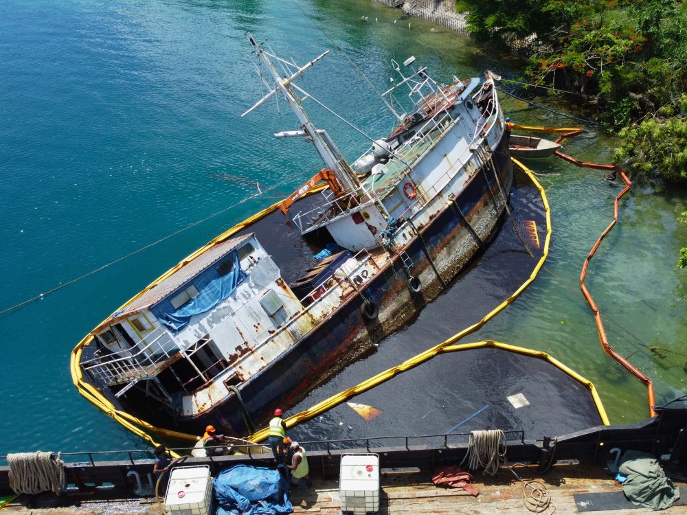 Oil spill cleanup after the Noella K tragedy